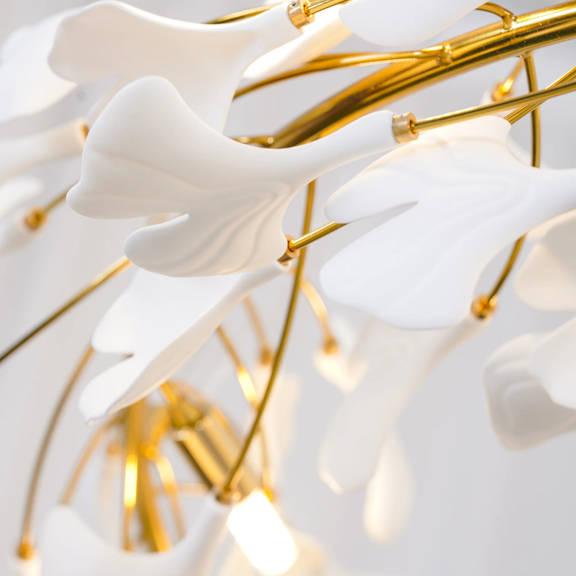 Gingko Chandelier U - 图片 17
