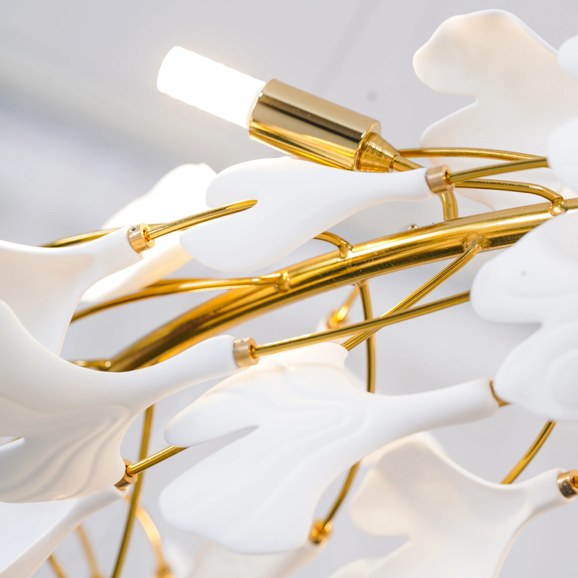 Gingko Chandelier U - 图片 16